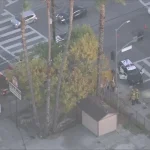 Tree trimmer impaled on iron fence after falling 35 feet to his death in LA